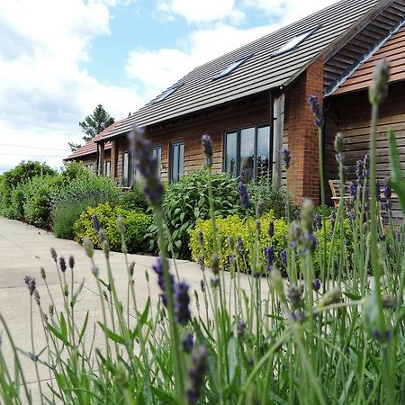 Elm Tree Farm Accommodation Milton Keynes Exterior foto